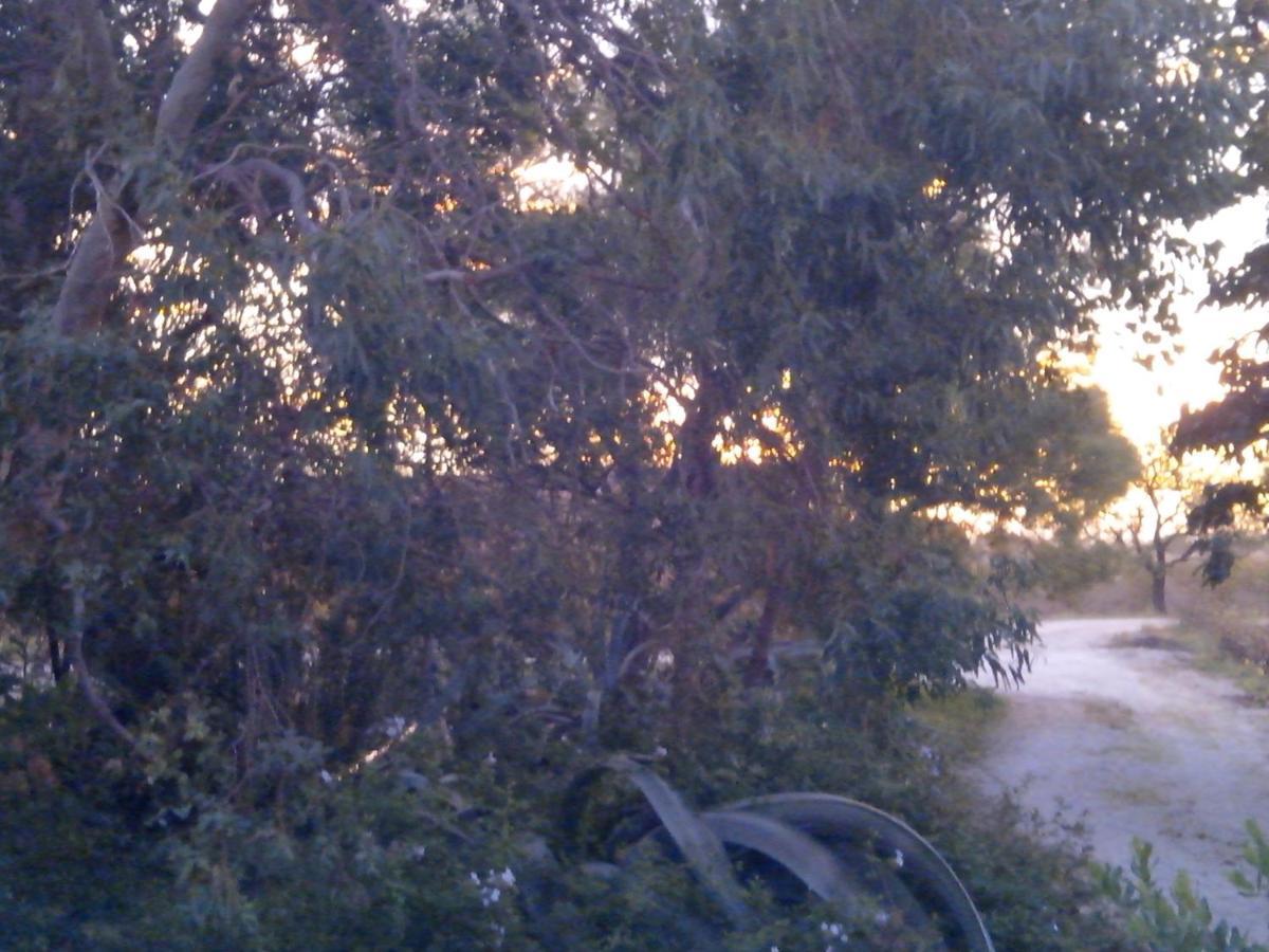 مبيت وإفطار Saint-Hippolyte  Mas Soleil Et Vignes المظهر الخارجي الصورة